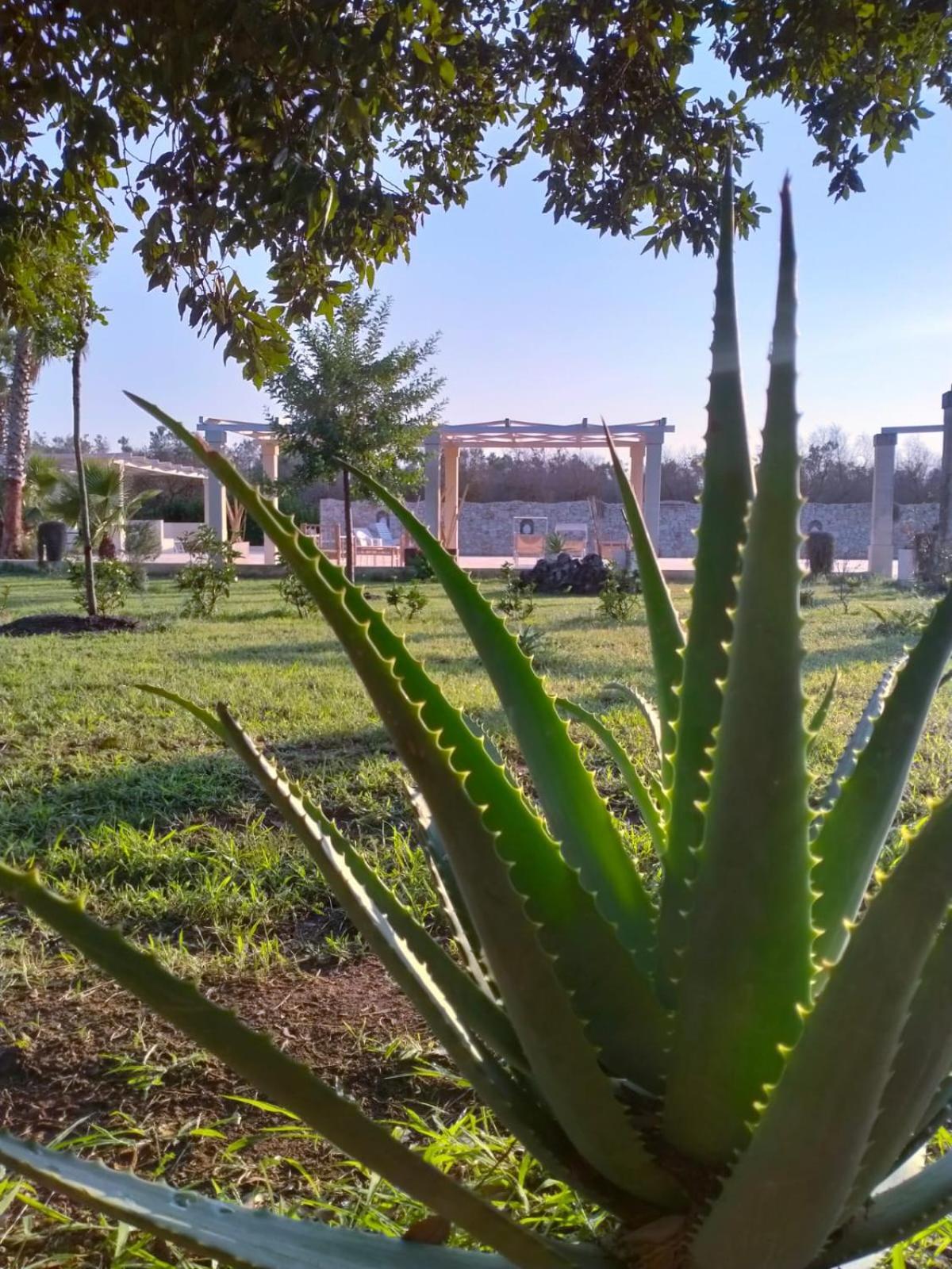Tenuta La Spezia Carpignano Salentino Bagian luar foto