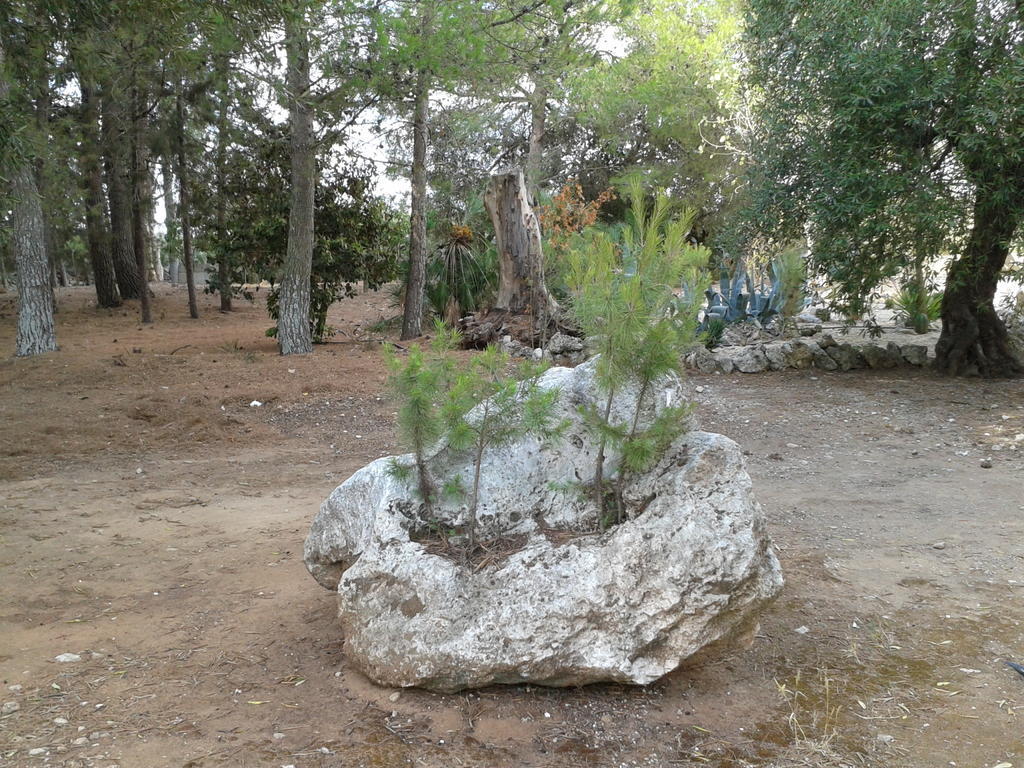 Tenuta La Spezia Carpignano Salentino Bagian luar foto